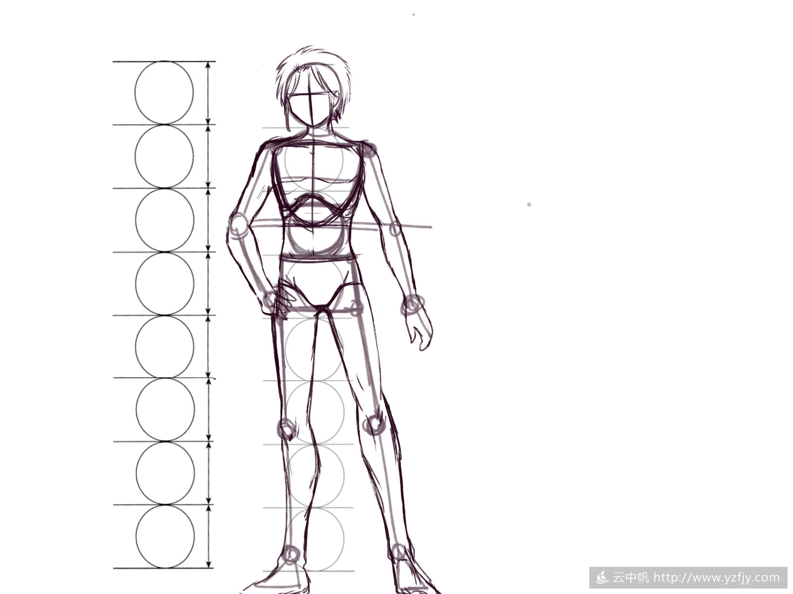 女性45°侧面-面部结构/人体结构/建模技巧/布线