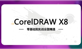 CDRX8快速入门到精通课程【文牛老师】