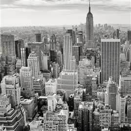 近似黑白效果的纽约全景