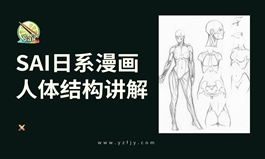 SAI日系漫画-人体的基础结构绘制教程