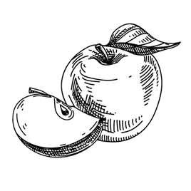 手绘水果和蔬菜插画-02