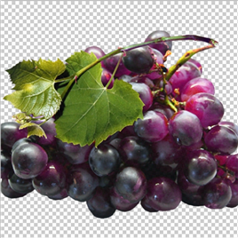 新鲜成熟紫色葡萄【PNG】
