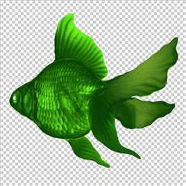 漂亮的绿色鲤鱼【PNG】