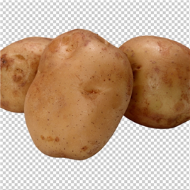 成熟的土豆【PNG】