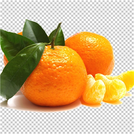 果蔬水果橘子【PNG】