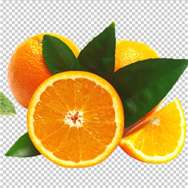 果蔬水果橙子【PNG】
