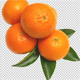 果蔬水果橙子【PNG】