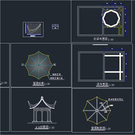 CAD图纸-经典八角亭施工图