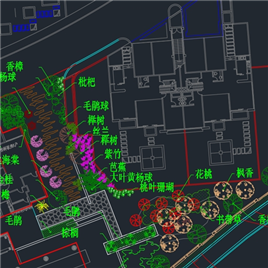 CAD图纸-售楼部绿化施工总平面图