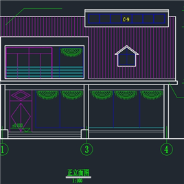 CAD图纸-某B型别墅设计方案