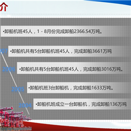 动态PPT图表呈现简报实例