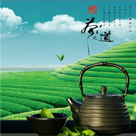 PPT动画模板-清香茶道