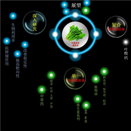 梦幻风格科普PPT动画