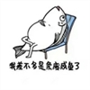 猫腻190235