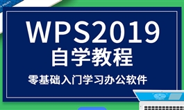 WPS2019自学视频教程word文档零基础入门学习办公软件（TM）