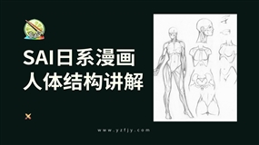 SAI日系漫画-人体的基础结构绘制教程