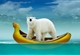 PS创意海报合成-北极熊和香蕉船