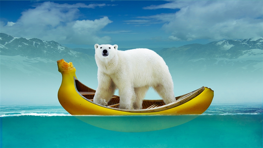 PS创意海报合成-北极熊和香蕉船