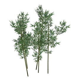竹类植物模型1