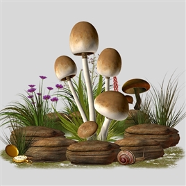 花草石头蘑菇高清植被png平面广告电商美工设计素材