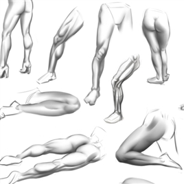 绘画人体大腿绘制参考图